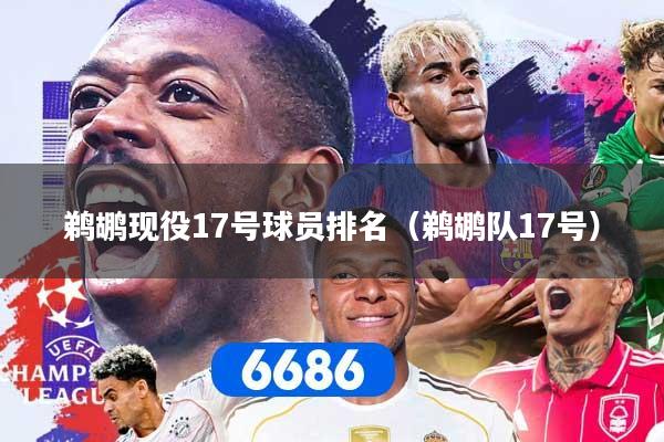 鹈鹕现役17号球员排名(鹈鹕队17号)